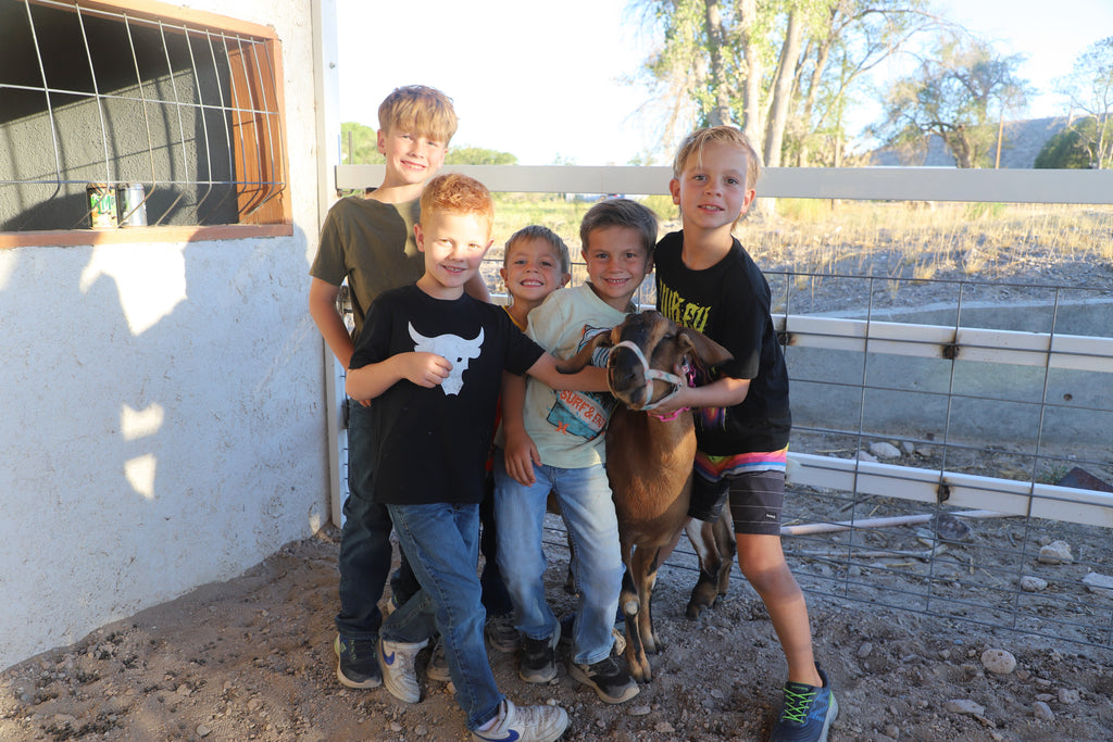 Buckhorn Christmas Goat Milk Soap